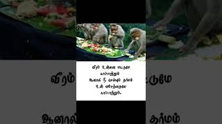 அவமானம் பட்ட பிறகு தான் எல்லாம் புரியுது💔#subscribe #tamil #motivation #quotes #shortvideo #sad