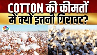 Commodity Market | Cotton के क्यों गिरे दाम , चने में जारी रहेगी मंदी? | MSP | NCDEX | CNBC Awaaz