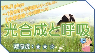 【1分DE☆中学理科シリーズ258】《中2＊生物編36》光合成と呼吸