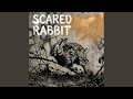 Scared Rabbit