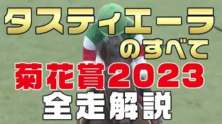 【タスティエーラのすべて】（菊花賞2023）新馬戦から前走までのレースぶりを振り返ってみました。