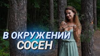 Пройти босиком или нет? II Экотропа в \