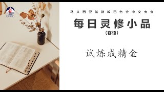 25年01月06 1228 试炼成精金 (客)