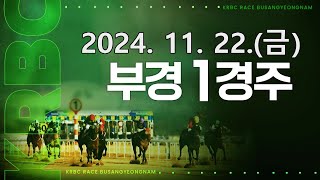 (부산) 2024.11.22 1경주