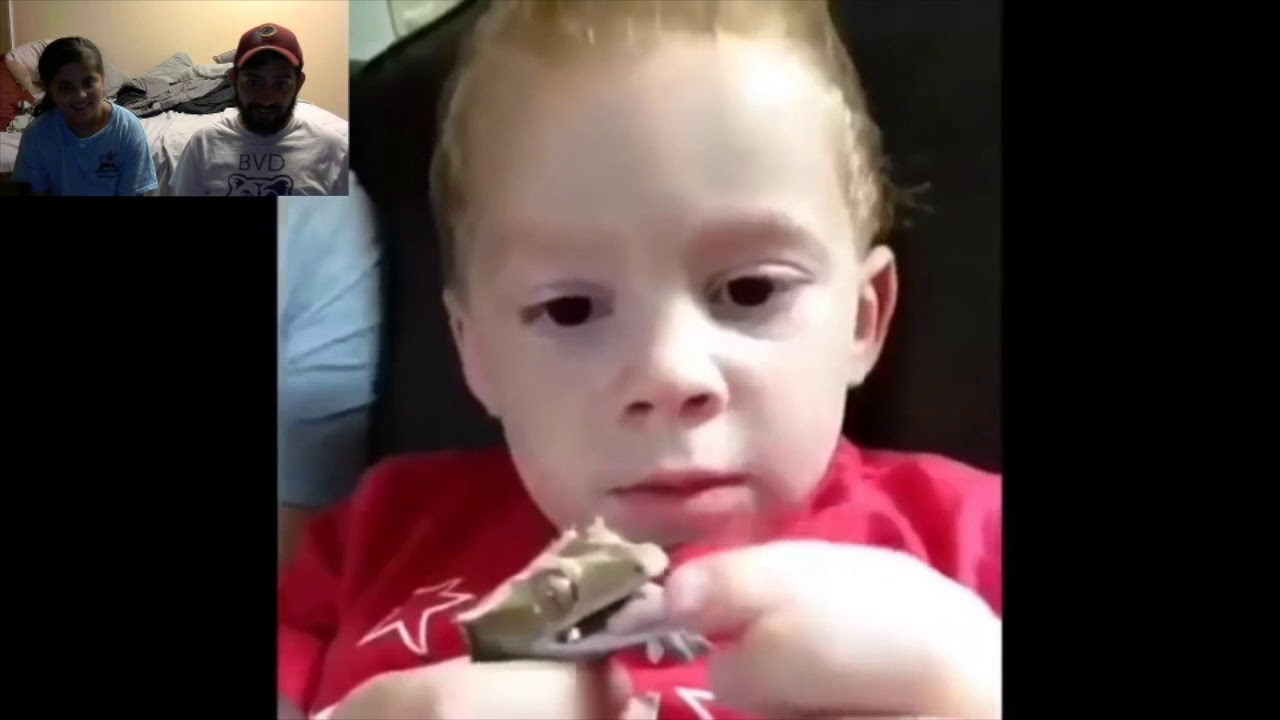 Vine Compilation Youtube