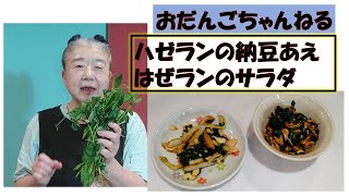 沖縄野菜　ハゼランで２品「ハゼランの納豆あえ」「ハゼランのサラダ」