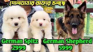 German Shepherd \u0026 Spitz Puppies Sell Low Price। Serampore Pet Market। Kolkata Dog Market।