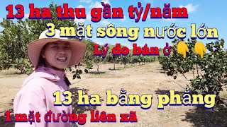 Cần nhượng 13 ha ôm 3 mặt suối lớn, 1 mặt đường lớn, lh 0983803253