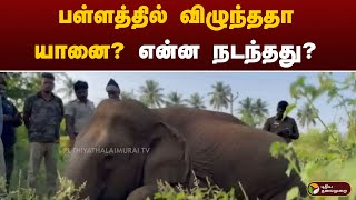 #justin: பள்ளத்தில் விழுந்ததா யானை? என்ன நடந்தது?  | elephant | kovai