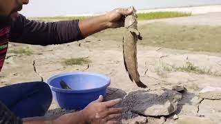 Amazing Boy Fishing in Dry Season | Catching Monster Fish in River Side Secret Hole | Hand Fishing
