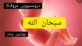 ئەی مرۆڤ چۆن مغرور دەبی بەرامبەر ئەو زاتەی کە دروستی کردووی !😥 بەڕاستی ناخ هەژێنە لەگەڵ خۆشترین دەنگ