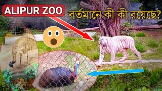 আলিপুর চিড়িয়াখানায় গিয়ে যা দেখলাম - Alipur Zoo (Kolkata)/Royal Bengal Tiger Sundarban/ Tour 2021