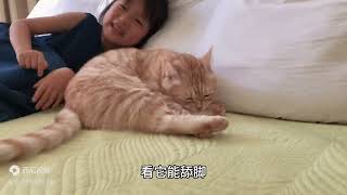 人类幼崽“变身猫咪”，被猫咪们宠爱的日常