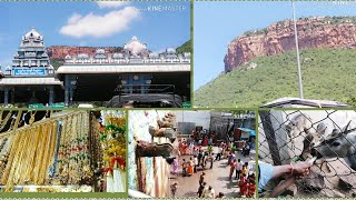 Thirumala Thirupathi Traveling Videos||పెద్ద తిరుపతి టూర్||తిరుమల తిరుపతి\u0026పాపవినాశనం Shopping