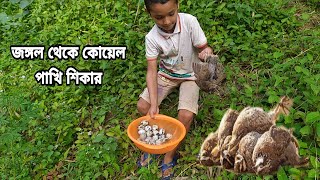 জঙ্গলে কোয়েল পাখি ধরা। Egg And Quail Birds Hunting 2021