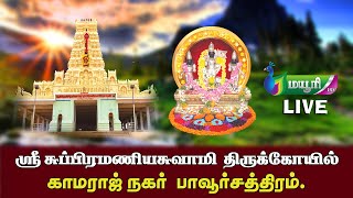 🔴LIVE Pavoorchatram, Kamaraj Nagar, Vennimalai Murugan Kovil LIVE