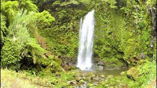 ある日の「滝之下大滝公園」の滝の姿を７分弱