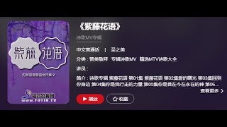 《紫藤花语》 第03集 回到你身边确定版  赞美敬拜 专辑诗歌MV