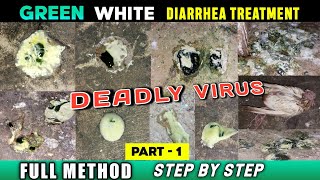 Pigeon Green-White Diarrhea Treatment |Kabutar Ke Hari-Safed  Pani Wali Beat Ka Ilaj |Pigeon Disease