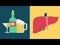 how alcohol affect the body tamil