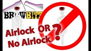 Do you need an AirLock when brewing? Can you brew without an airlock?