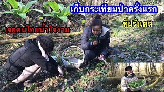 เก็บกระเทียมป่าครั้งแรก Ep1ที่ฝรั่งเศส เจอคนไทยนำ้ใจงาม Ail des ours ou ail des bois @92wara