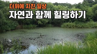 더위에 지친 일상 - 자연속에서 힐링