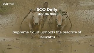 SCO Daily: Supreme Court upholds Jallikattu in Tamil Nadu