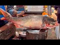 Amazing Giant Carp Fish Cutting Skills Live In Fish Market | Fish Cutting Skills