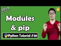 Modules & pip in Python | Python Tutorial #20