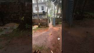 😱അശ്രദ്ധ മതി എല്ലാം തീരാൻ😢 #trending #viral #shorts #ytshorts #funny #rain #love #new #video #yt