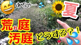 【宿根草・一年草】猛暑の中、繁茂しまくって荒れた汚庭を整理しますっ‼️/ 枯れる前にやるべきこと☝️/ 今やれば、秋に美しい満開を楽しめます🍁/ 新しく購入した宿根草も☺️【ガーデニング】