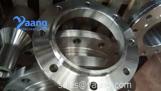 ANSI B16.5 Alloy 31 SO RF Flange 8 Inch CL150