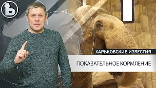 В Харьковском зоопарке проводят показательные кормления животных