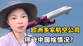 歐洲多家航空公司停飛中國，究竟咋回事？引起軒然大波是好是壞？