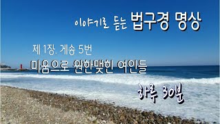 법구경명상_게송5번.원한 맺힌 여인들_ ●원한을 품지않아야만 원한이 풀어지리라.이것이 영원한 진리라네.