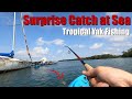 Kayak Fishing in Singapore: Great Fish Fight on Hobie Outback