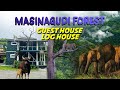 Masinagudi Forest Guest House | Log House Masinagudi tamilnadu |