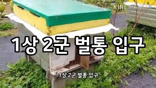 2020년 9월 1상 2군 벌통 입구