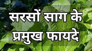 सरसों साग के फायदे |Sarso Saag Ke Fayde| Sarson ke Sagiya| Benefits of Mustard Leaf/Saag|