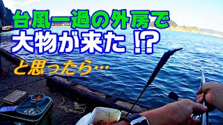 台風一過の外房で大物が来た⁉と思ったら…　～外房の海に消えた大物の夢～