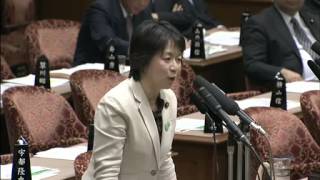 508参議院予算委(みどり)舟山康江