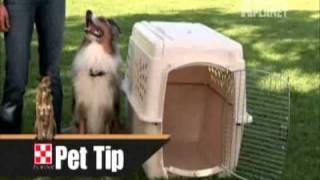 Petfinder Episode 2