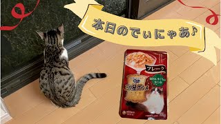 【本日のDinnyar】銀のスプーン 三ツ星グルメ パウチ フレーク ささみ・まぐろ入りかつお