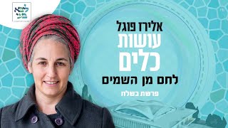 פרשת בשלח - אלירז פוגל - לחם מן השמים