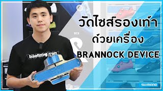 เครื่องวัดไซส์รองเท้า Shimano Brannock Device