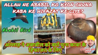Allah Ababil ko kyon chuna kaba ke hifazat ke liye|अल्लाह अबाबील को क्यों चूना काबाके हिफाज़त के लिए