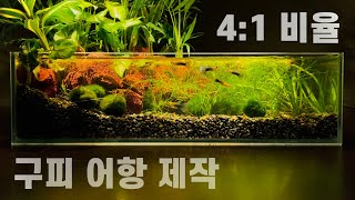 낮은어항에서 구피, 체리새우가 더 건강한 이유(수경식물, 테라리움)