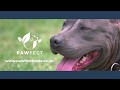 Pawfect Pet Foods Social Promo