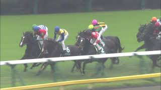 東京 芝1600M 富士S GⅢ 2017年10月21日